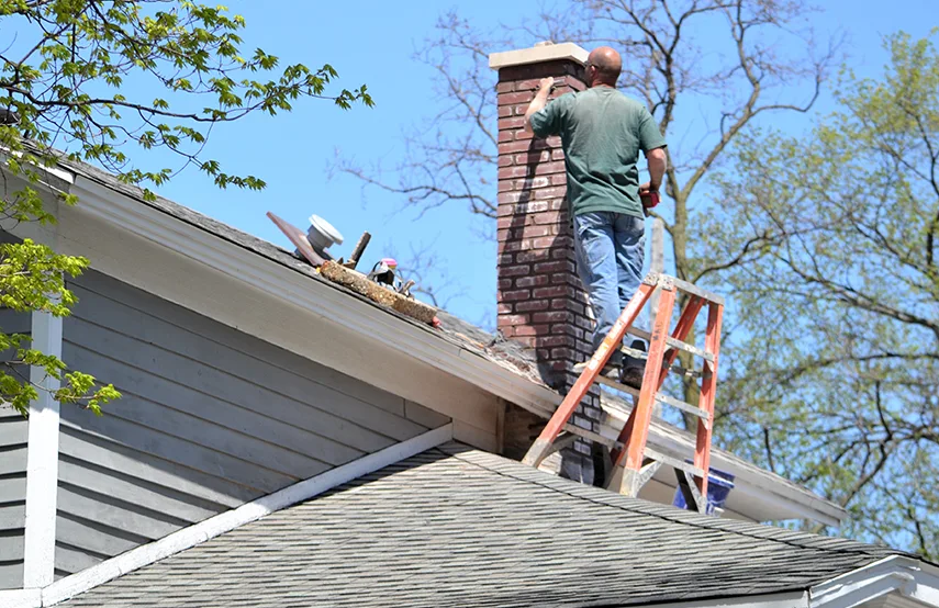 Chimney & Fireplace Inspections Services in Villa Park, IL